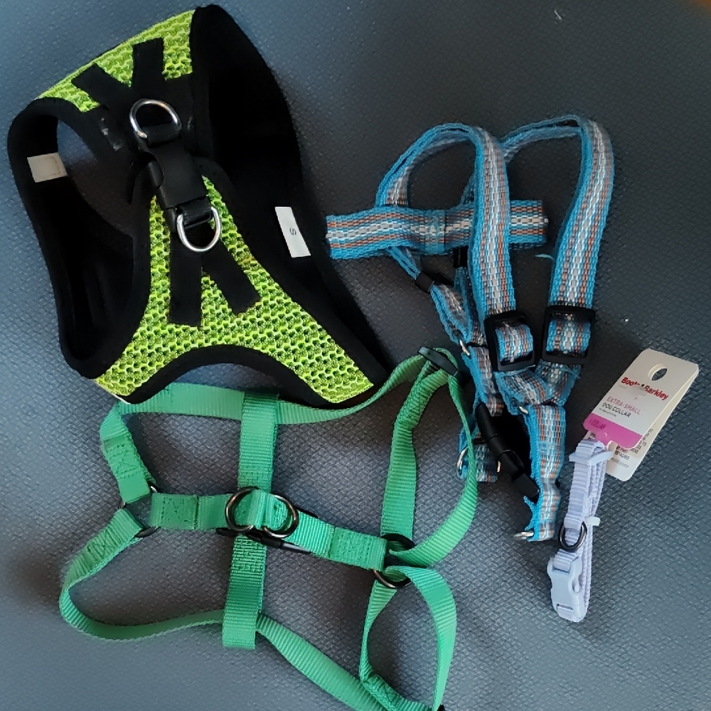 Dog / puppy collar & harness lot